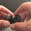 Fidget Knob - Đồ chơi tập ngón tay và xả stress in 3D - Thumbnail 5