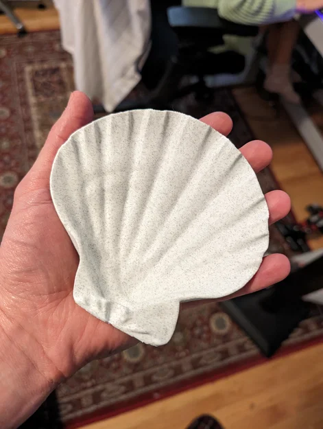 Bản quét 3D vỏ sò Lions Paw Scallop (Lions Paw Scallop Seashell 3d Scan) - Image 2