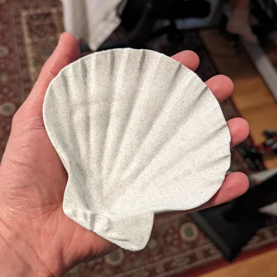 Bản quét 3D vỏ sò Lions Paw Scallop (Lions Paw Scallop Seashell 3d Scan)