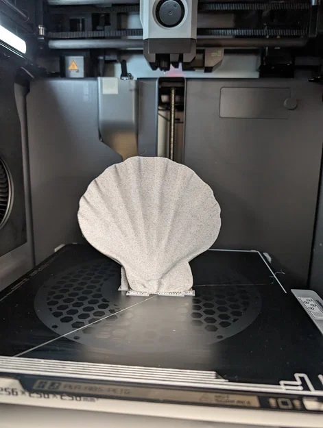 Bản quét 3D vỏ sò Lions Paw Scallop (Lions Paw Scallop Seashell 3d Scan) - Image 3