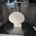 Bản quét 3D vỏ sò Lions Paw Scallop (Lions Paw Scallop Seashell 3d Scan) - Thumbnail 3