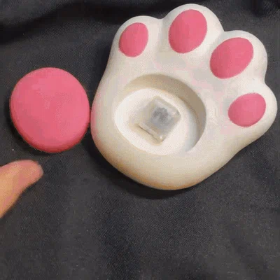Clicker fidget Bàn Chân Mèo – Nam Châm Tủ Lạnh (Cat Paw Fridge Magnets)