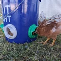 Máng ăn cho gà (Chicken Feeder) - Thumbnail 1