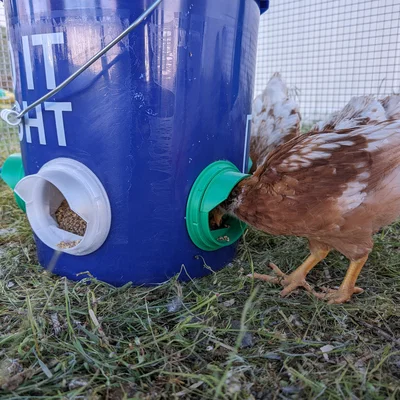 Máng ăn cho gà (Chicken Feeder)