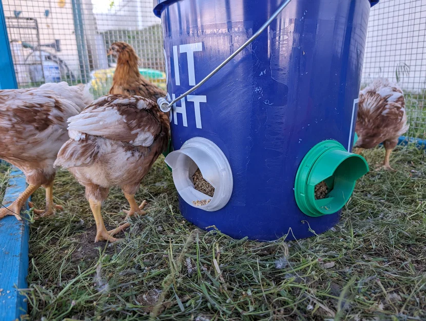Máng ăn cho gà (Chicken Feeder) - Image 5