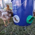 Máng ăn cho gà (Chicken Feeder) - Thumbnail 5