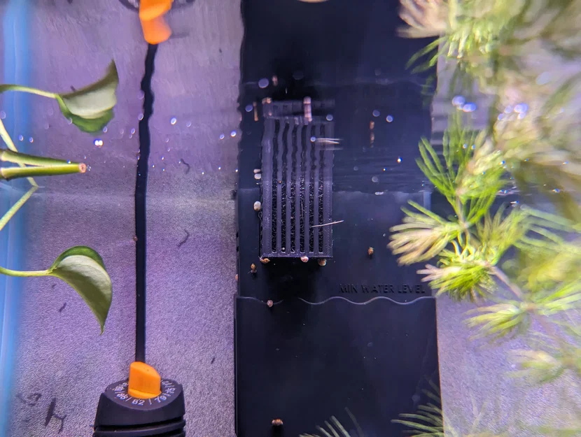 Lồng Skimmer Prefilter tuỳ biến cho SeaChem Tidal (SeaChem Tidal Skimmer Cage) - Image 2