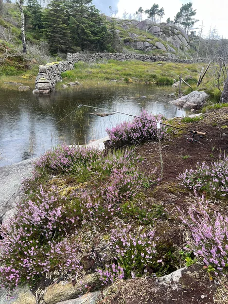 Giá Đỡ Cần Câu Đơn Giản (Simple Fishing Rod Holder) - Image 7