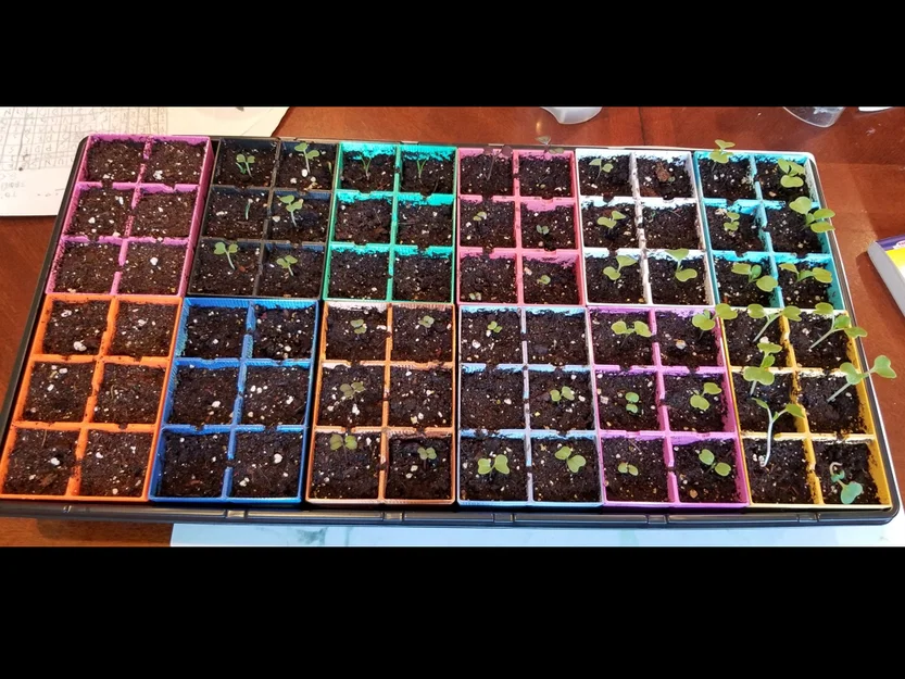 #0024 Khay ươm cây con (Seedling Starter Planter) - Image 1