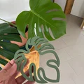 Kẹp giữ thân cây Monstera - Phụ kiện in 3D trang trí cây cảnh - Thumbnail 3