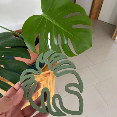 Kẹp giữ thân cây Monstera - Phụ kiện in 3D trang trí cây cảnh