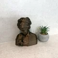 Tượng bán thân nữ nghệ thuật (Female Bust) dùng trang trí nhà cửa - Thumbnail 3