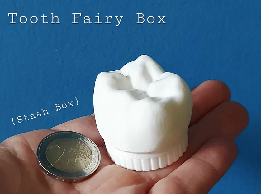 Hộp Bà Tiên Răng (Hộp Cất Đồ) - Image 1