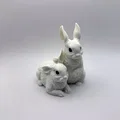 Mô hình trang trí Hai Chú Thỏ (Two Bunnies) in 3D dễ thương - Thumbnail 1