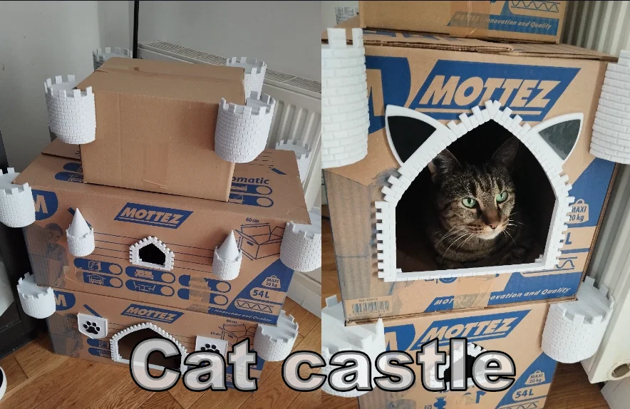 Lâu đài mèo (Cat castle) - Image 1