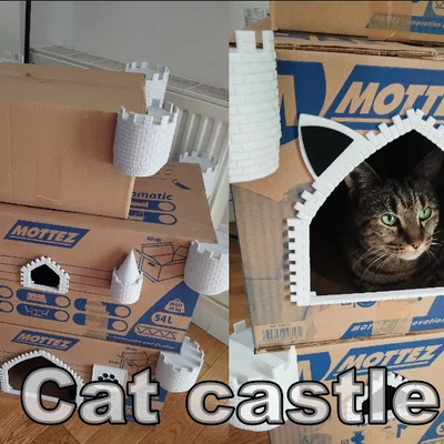 Lâu đài mèo (Cat castle)