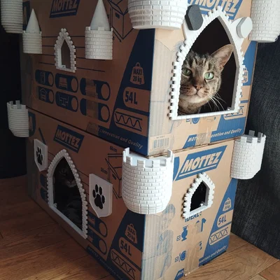Lâu đài mèo (Cat castle)