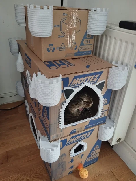 Lâu đài mèo (Cat castle) - Image 3