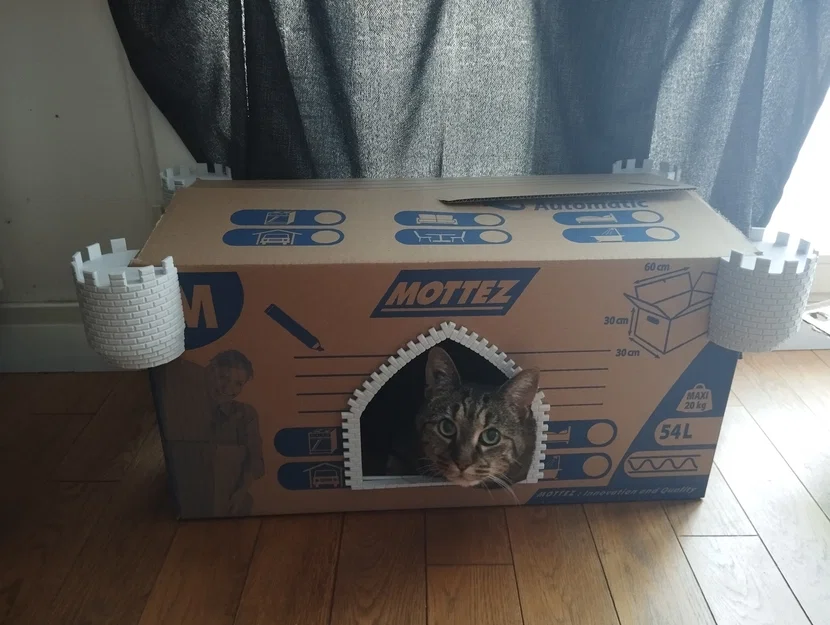 Lâu đài mèo (Cat castle) - Image 4