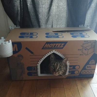 Lâu đài mèo (Cat castle)