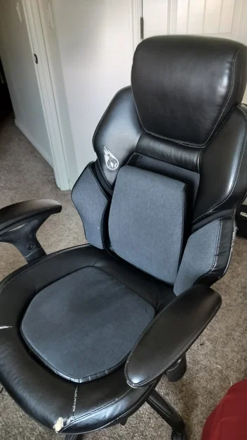 Thay thế đỡ thắt lưng ghế True Innovations DPS 3D Insight (Gaming Chair) - Image 1
