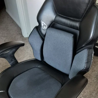 Thay thế đỡ thắt lưng ghế True Innovations DPS 3D Insight (Gaming Chair)