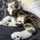 Stiven_4004324