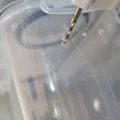 Dry Box từ hộp ngũ cốc kín khí 4L (Skroam/Praki) - Thumbnail 9