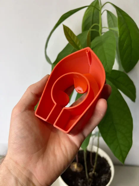 Avocado Boat 3.0 - Tự trồng cây bơ của bạn! - Image 1