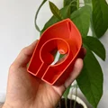 Avocado Boat 3.0 - Tự trồng cây bơ của bạn! - Thumbnail 1