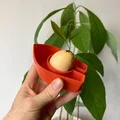 Avocado Boat 3.0 - Tự trồng cây bơ của bạn! - Thumbnail 2