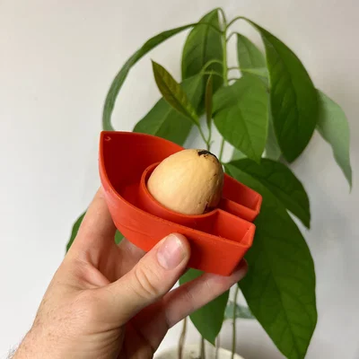 Avocado Boat 3.0 - Tự trồng cây bơ của bạn!