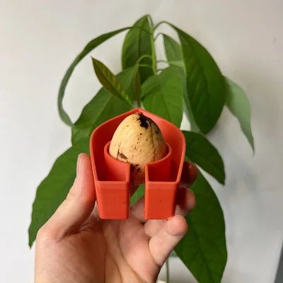 Avocado Boat 3.0 - Tự trồng cây bơ của bạn!