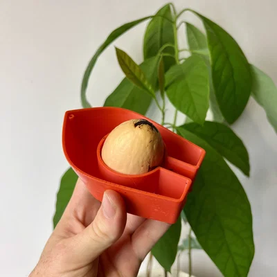 Avocado Boat 3.0 - Tự trồng cây bơ của bạn!
