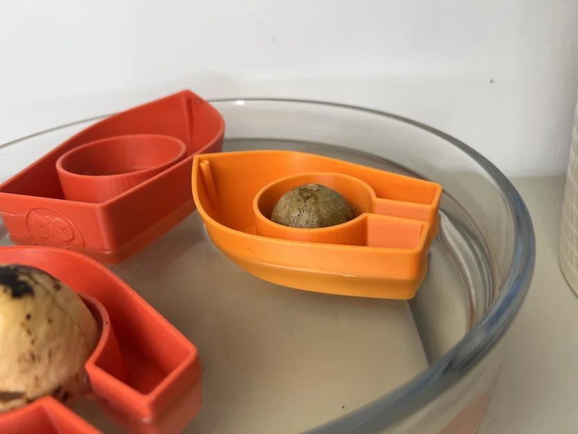 Avocado Boat 3.0 - Tự trồng cây bơ của bạn! - Image 5