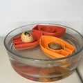 Avocado Boat 3.0 - Tự trồng cây bơ của bạn! - Thumbnail 6
