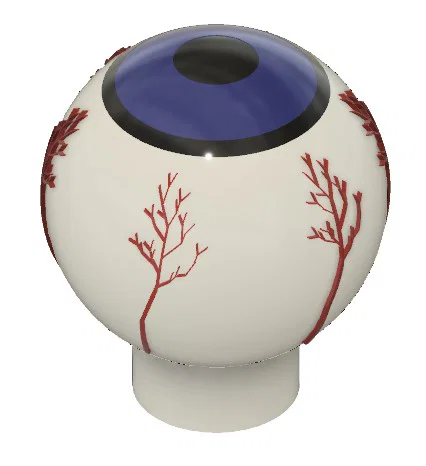 Nắp van bánh xe hình con mắt (Eye Ball Valve Stem Cap) - Image 3