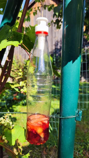 Bẫy ong bắp cày – nắp bẫy gắn chai PET - Image 3