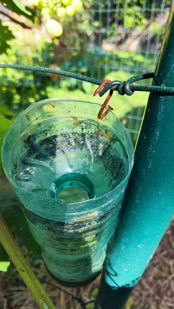 Bẫy ong bắp cày – nắp bẫy gắn chai PET - Image 8