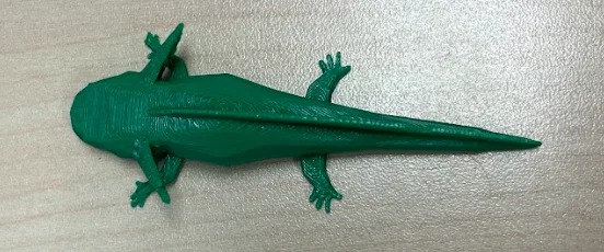 Mô hình Axolotl phong cách Low Poly in 3D độc đáo - Image 2