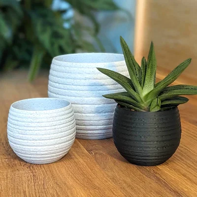 Chậu Trồng Cây Honeypot Chạm Khắc