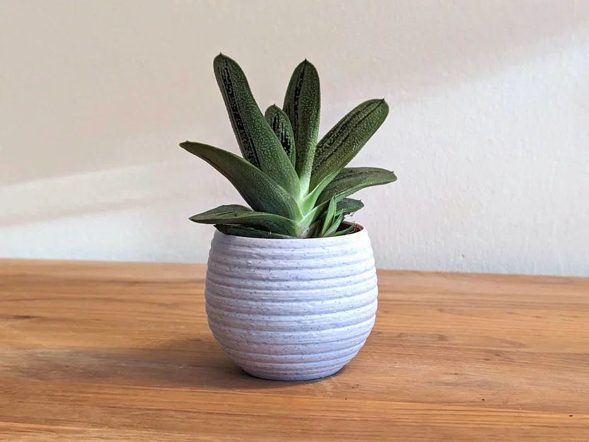 Chậu Trồng Cây Honeypot Chạm Khắc - Image 2