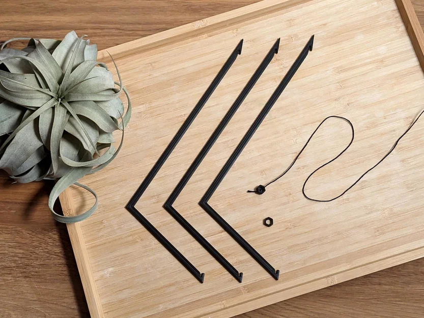 Móc treo Tillandsia (Air Plant Hanger) tối giản - Image 2