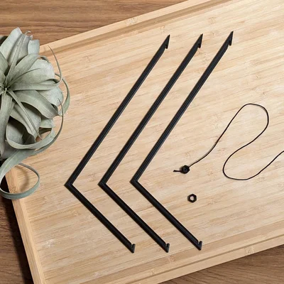 Móc treo Tillandsia (Air Plant Hanger) tối giản