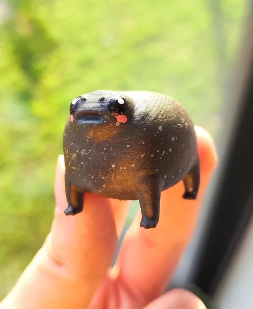 Ếch Mũm Mĩm Dễ Thương – Black Rain Frog/Desert Rain Frog Cáu Kỉnh - Image 1