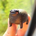 Ếch Mũm Mĩm Dễ Thương – Black Rain Frog/Desert Rain Frog Cáu Kỉnh - Thumbnail 1