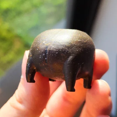 Ếch Mũm Mĩm Dễ Thương – Black Rain Frog/Desert Rain Frog Cáu Kỉnh