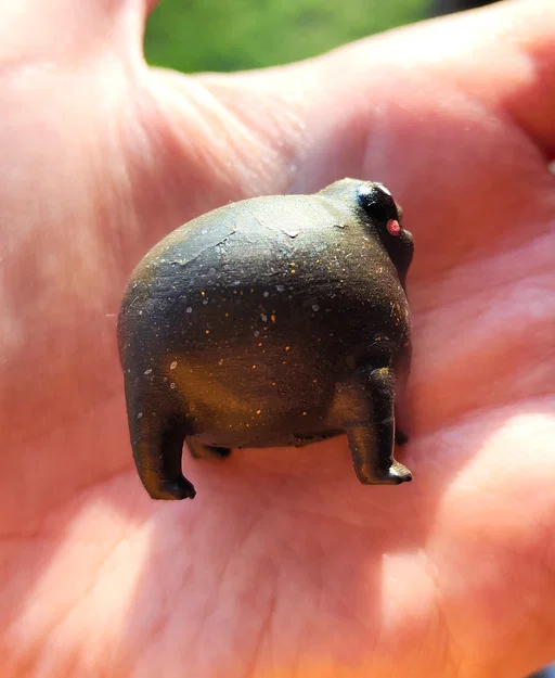 Ếch Mũm Mĩm Dễ Thương – Black Rain Frog/Desert Rain Frog Cáu Kỉnh - Image 3