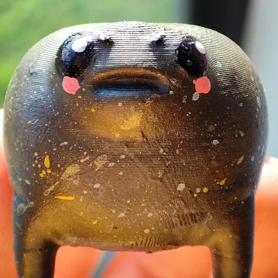 Ếch Mũm Mĩm Dễ Thương – Black Rain Frog/Desert Rain Frog Cáu Kỉnh