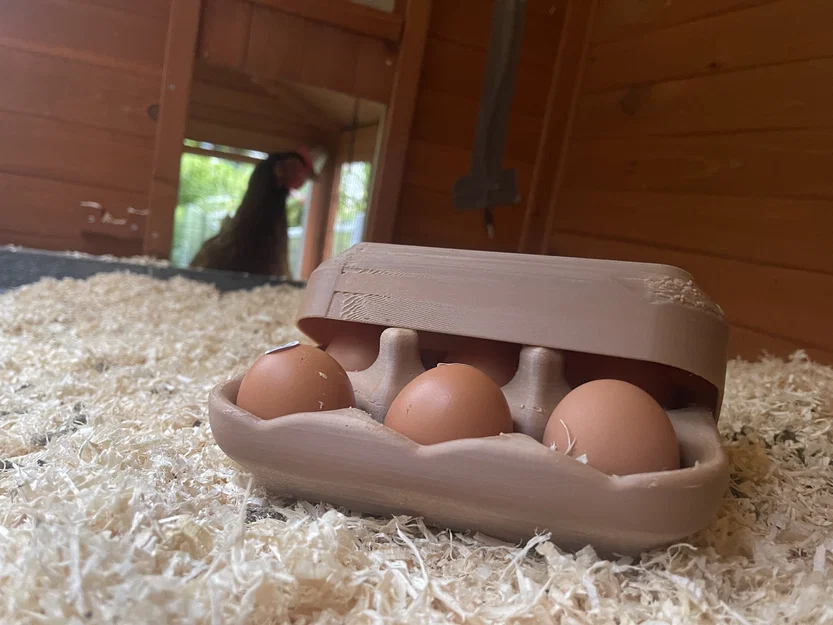 Khay đựng trứng tái sử dụng V1 (6 trứng) - Multi-use egg carton V1 / Mehrwegeierkarton V1 - Image 1